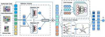 A Multimodal Affinity Fusion Network for Predicting the Survival of Breast Cancer Patients